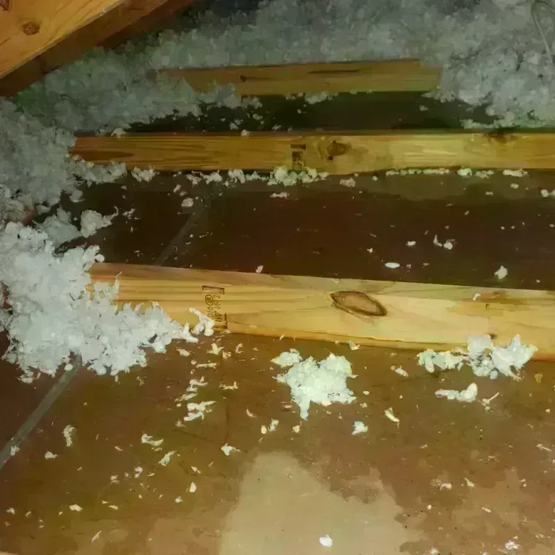 Attic Water Damage in Chamberlain, SD