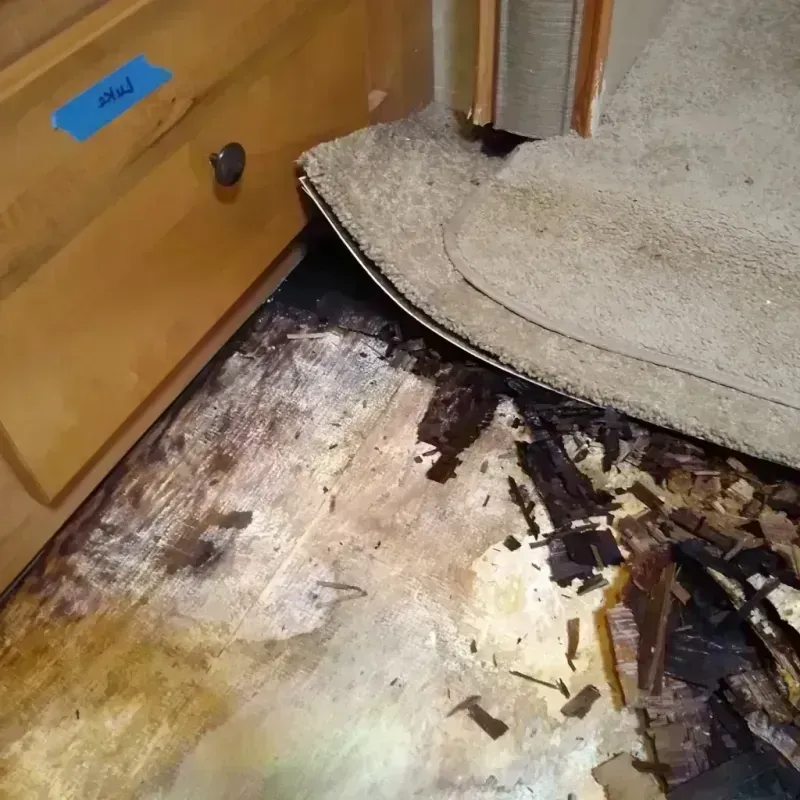 Wood Floor Water Damage in Chamberlain, SD